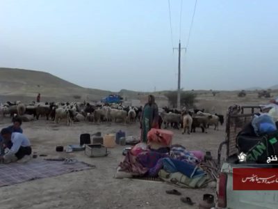 کوچ عشایر قشقایی به مناطق گرمسیر فارس