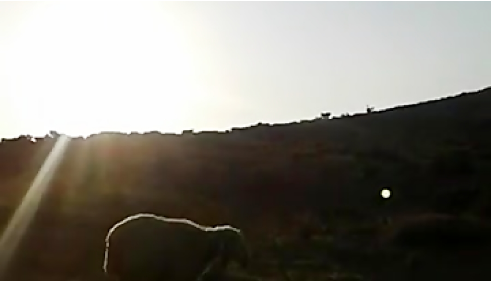 کلیپ آواز ترکی قشقایی با صدای خوش طهمورث نادری دره شوری